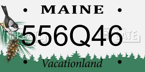 556Q46 Maine License Plate