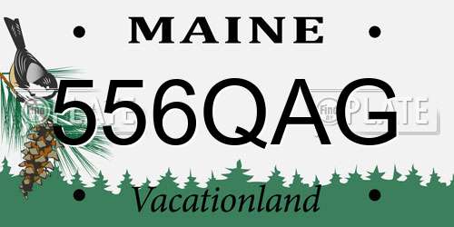556QAG Maine License Plate