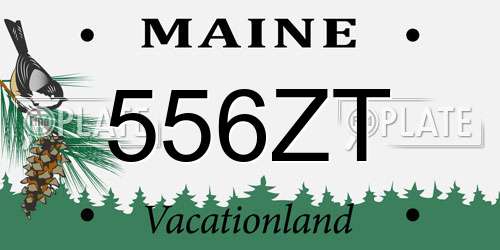 556ZT Maine License Plate