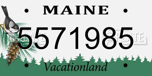 5571985 Maine License Plate