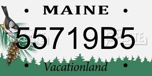 55719B5 Maine License Plate