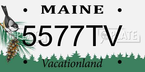 5577TV Maine License Plate