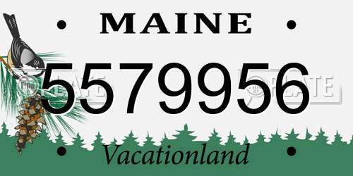 5579956 Maine License Plate