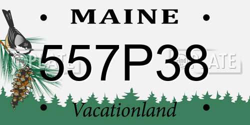557P38 Maine License Plate