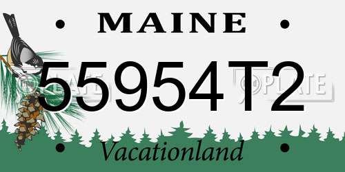 55954T2 Maine License Plate