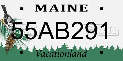55AB291 Maine License Plate