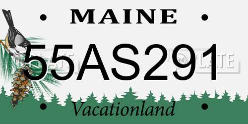 55AS291 Maine License Plate