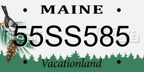 55SS585 Maine License Plate