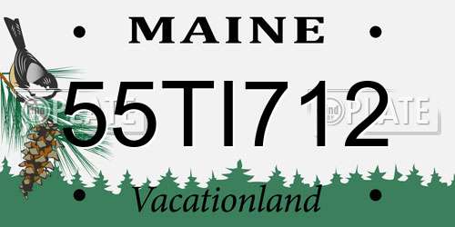 55TI712 Maine License Plate