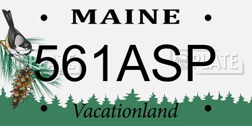 561ASP Maine License Plate