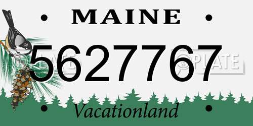 5627767 Maine License Plate