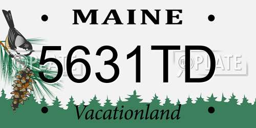 5631TD Maine License Plate