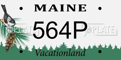 564P Maine License Plate
