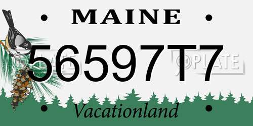 56597T7 Maine License Plate