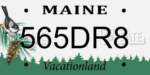 565DR8 Maine License Plate