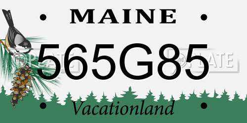 565G85 Maine License Plate