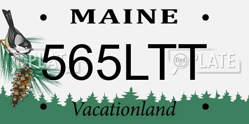 565LTT Maine License Plate