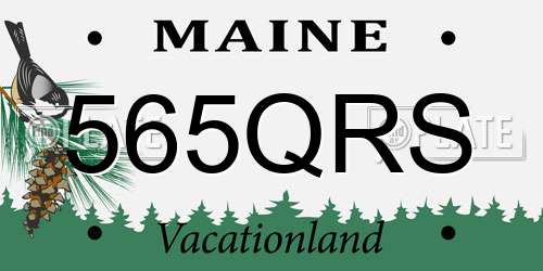 565QRS Maine License Plate