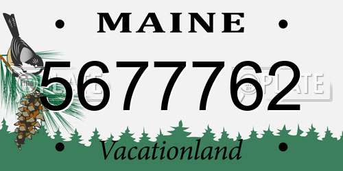 5677762 Maine License Plate