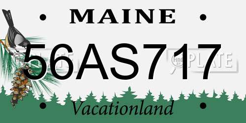 56AS717 Maine License Plate