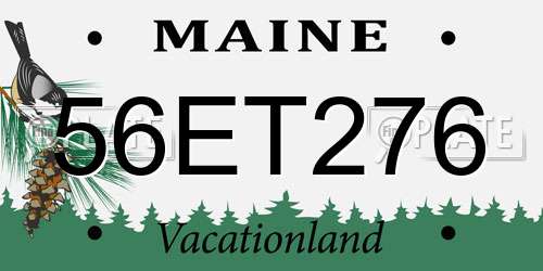 56ET276 Maine License Plate