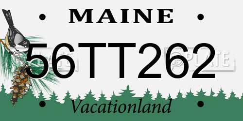 56TT262 Maine License Plate