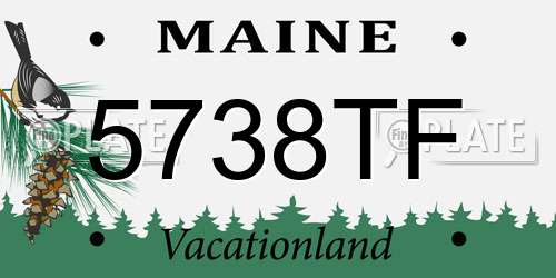 5738TF Maine License Plate