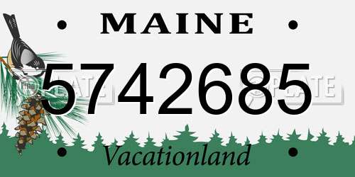 5742685 Maine License Plate