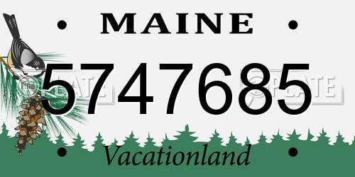 5747685 Maine License Plate