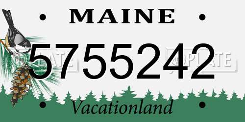 5755242 Maine License Plate