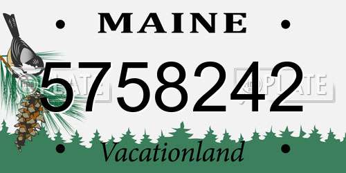 5758242 Maine License Plate