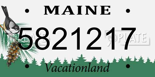 5821217 Maine License Plate