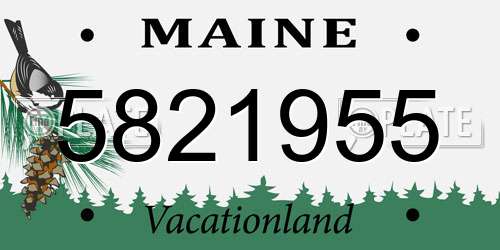 5821955 Maine License Plate