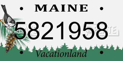 5821958 Maine License Plate