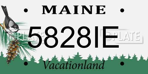 5828IE Maine License Plate