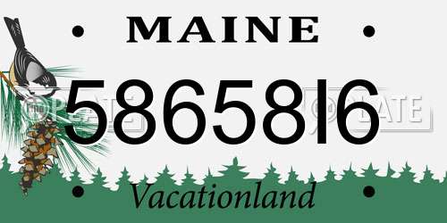 58658I6 Maine License Plate