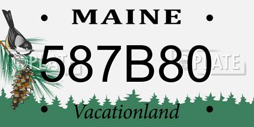 587B80 Maine License Plate
