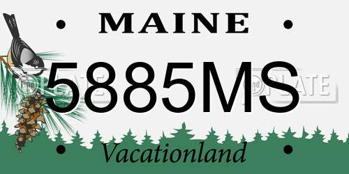 5885MS Maine License Plate
