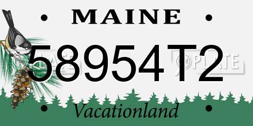 58954T2 Maine License Plate
