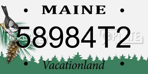 58984T2 Maine License Plate