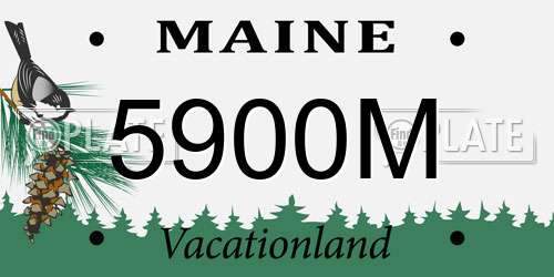 5900M Maine License Plate