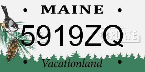 5919ZQ Maine License Plate