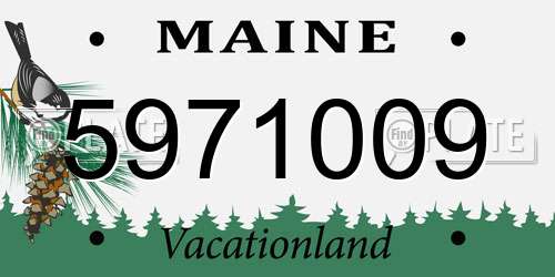 5971009 Maine License Plate