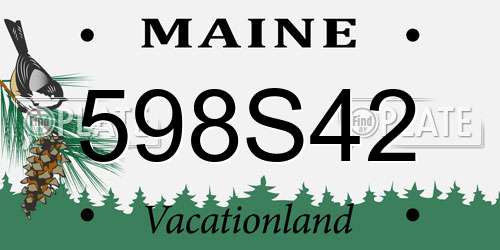 598S42 Maine License Plate