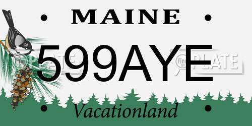 599AYE Maine License Plate