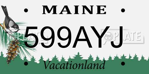 599AYJ Maine License Plate