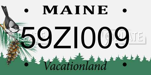 59ZI009 Maine License Plate