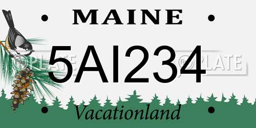 5AI234 Maine License Plate