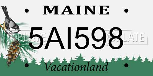 5AI598 Maine License Plate