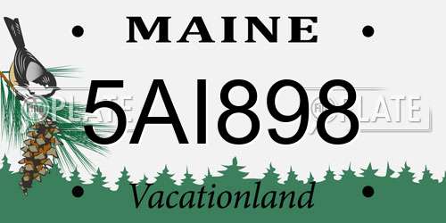 5AI898 Maine License Plate